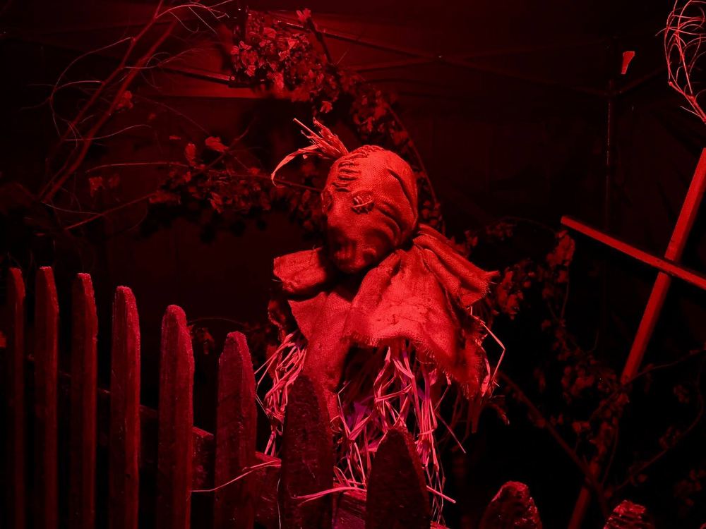Rotting Orchards